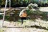 0503.jpg