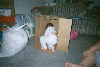 funbox2.jpg
