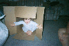 funbox3.jpg