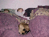 sleepover.jpg