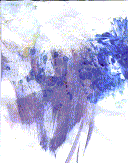 paint2.jpg
